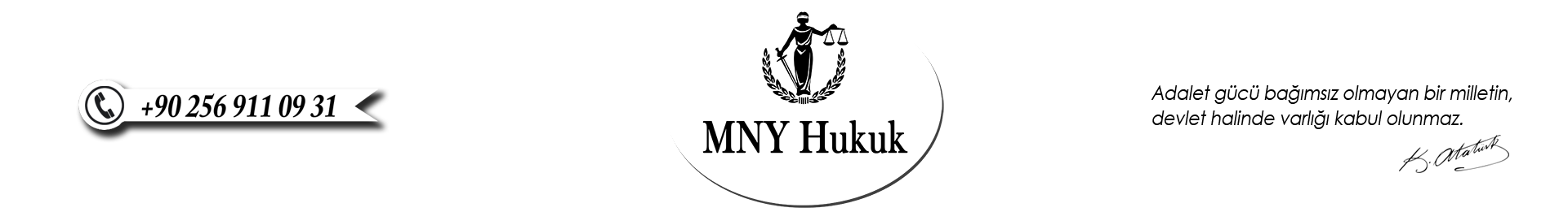 mny logo